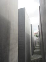 IMG 7054