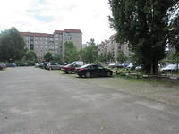 IMG 7059
