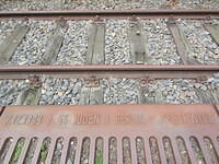 IMG 7397