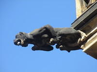 IMG 7543