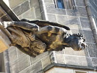 IMG 7544