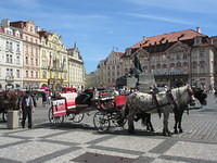 IMG 7586