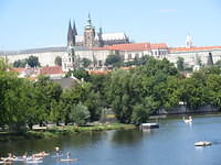 IMG 7617
