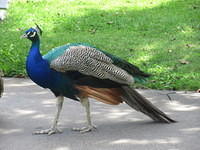 IMG 7624