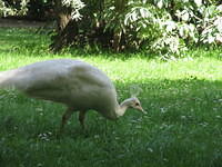 IMG 7642