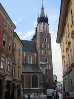 IMG 7697