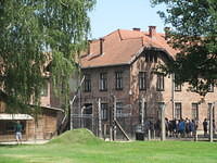 IMG 7742