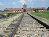 IMG 7820