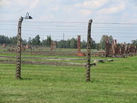 IMG 7822