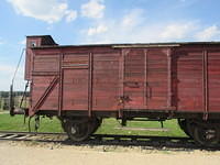IMG 7824