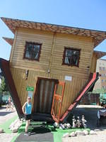 IMG 7905
