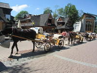 IMG 7926