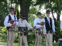 IMG 7953