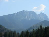 IMG 7960