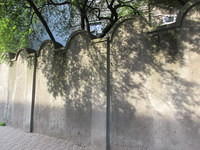 IMG 7972