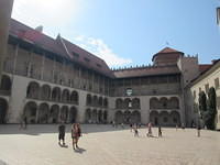 IMG 8006