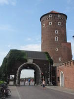 IMG 8051