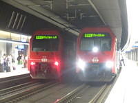 IMG 8241