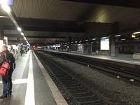 IMG_1431.JPG