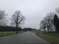 IMG_1578.JPG
