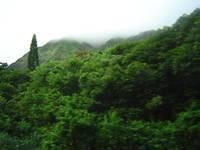 DSC00954.JPG