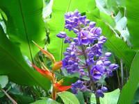 DSC01086.JPG