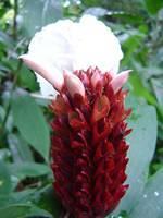 DSC01091.JPG