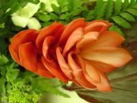 DSC01101.JPG