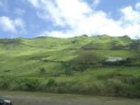 DSC01118.JPG