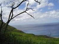DSC01123.JPG