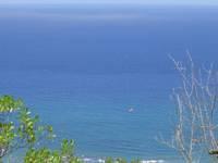 DSC01214.JPG