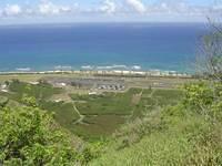 DSC01215.JPG