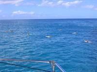 hawaii 039.jpg