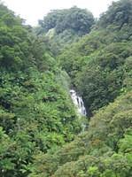 IMG_0413.jpg