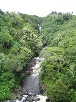 IMG_0415.jpg