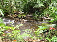 IMG_0427.jpg