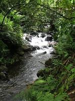 IMG_0428.jpg
