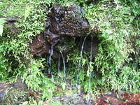 IMG_0454.jpg