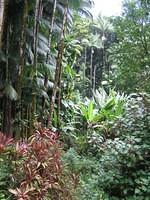 IMG_0463.jpg