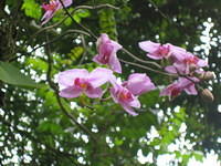 IMG_0475.jpg