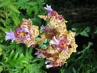IMG_0477.jpg