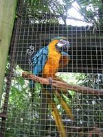 IMG_0486.jpg