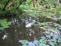 IMG_0500.jpg