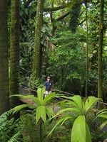 IMG_0502.jpg