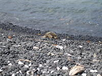 IMG_0533.jpg