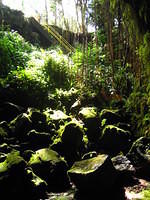 Looking up out of the cave
