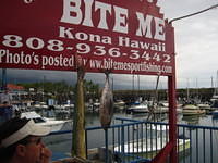 Dinner in the Marina at Bite Me between our dives.