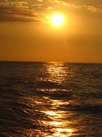 Waiting for sunset while learning all about Manta Rays.