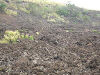 The Burial Grounds from the Kuamo'o Battle.  The battle was between Hawaiians to kill their religion in 1820.