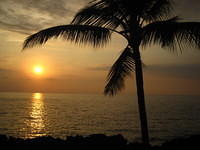 Back to our condo for sunset, then off to Bite Me for our Thanksgiving dinner of turkey and marlin.